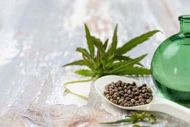 Police Investigation for First-Time Marijuana Offense, Why Assistance from a Former Police Attorney Matters <Must Read>
